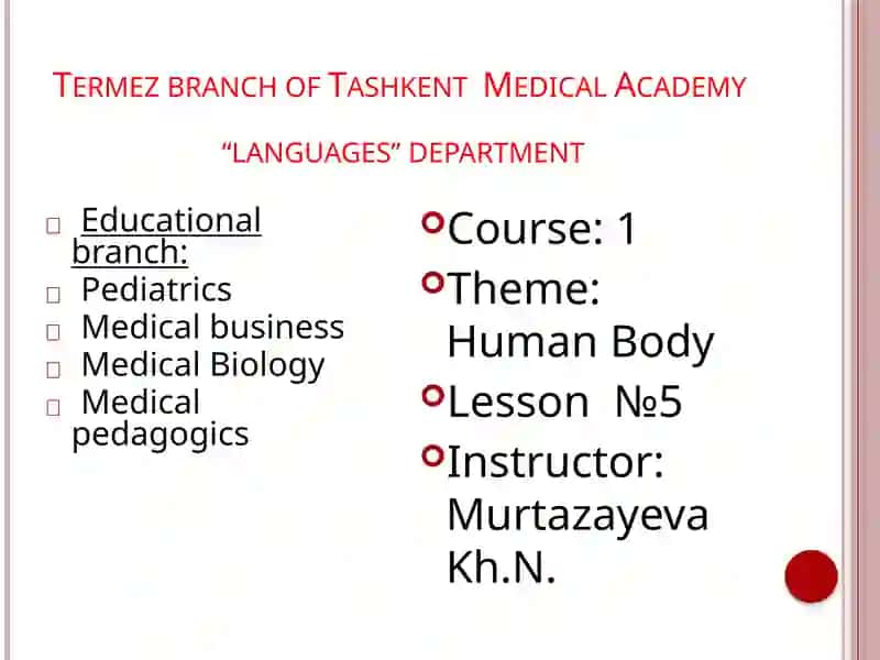 Human Body