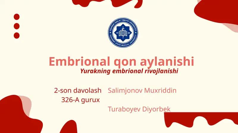Embrional qon aylanishi. Yurakning embrional rivojlanishi 1