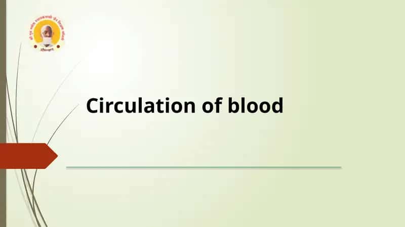 Circulation of blood 1
