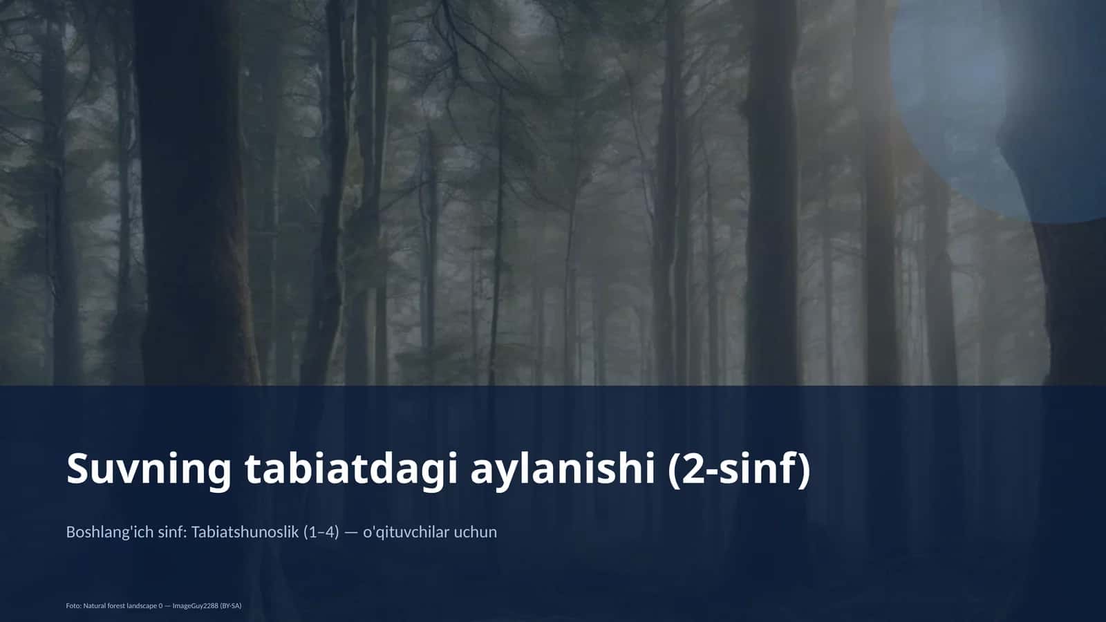 Suvning tabiatdagi aylanishi (2-sinf) 1