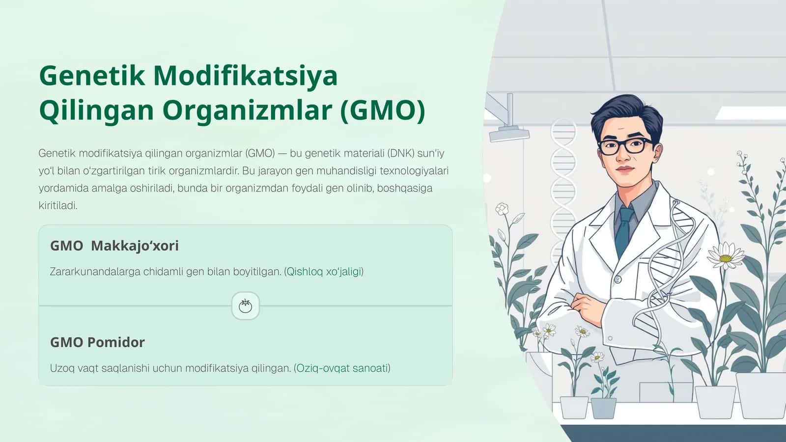 GMO Makkajo‘xori 1