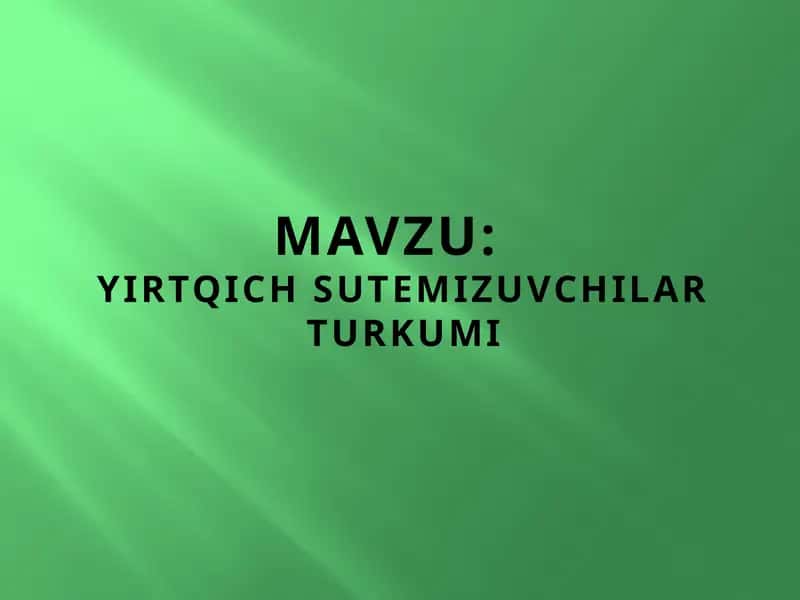Yirtqich sutemizuvchilar turkumi 1