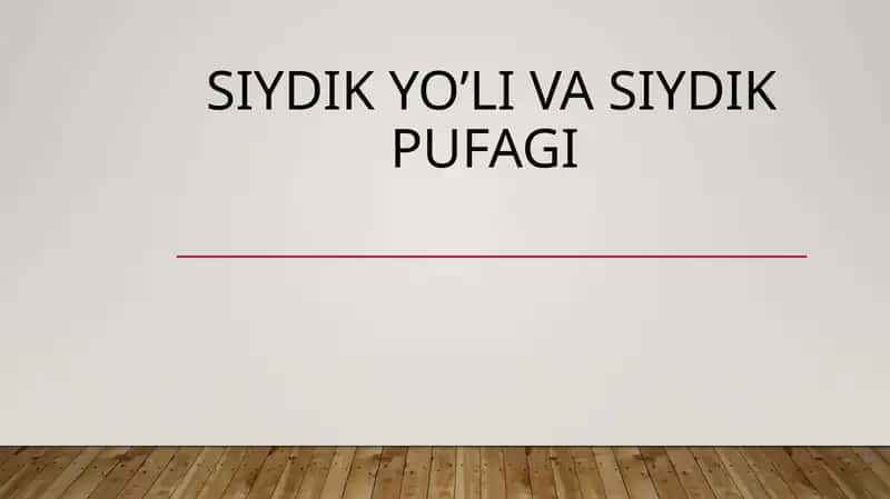 Siydik yo’li va siydik pufagi 1