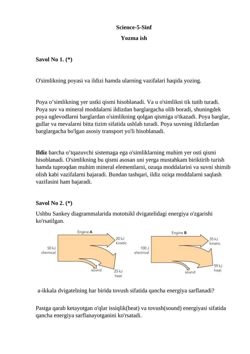 Science-5-Sinf Yozma ish 1