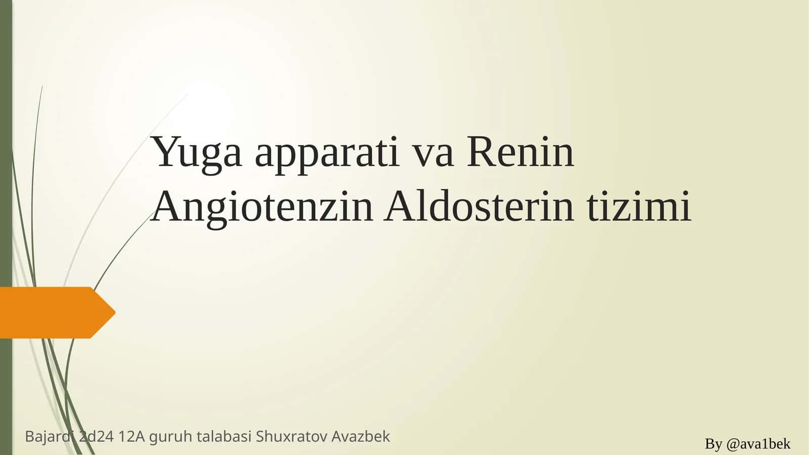 Yuga apparati renin angiotenzin aldosteron tizimi 1