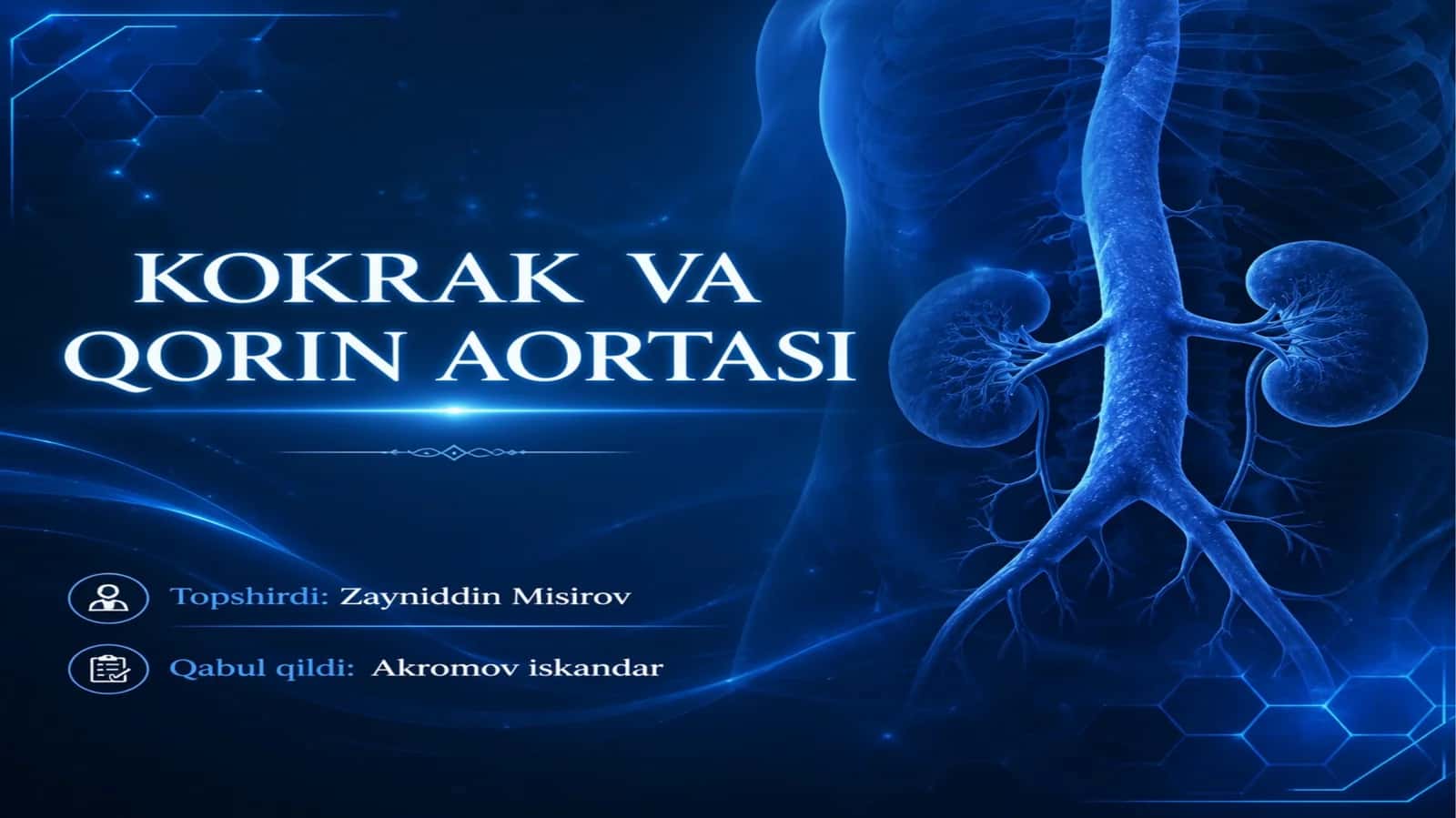 Kokrak va qorin aortasi 1