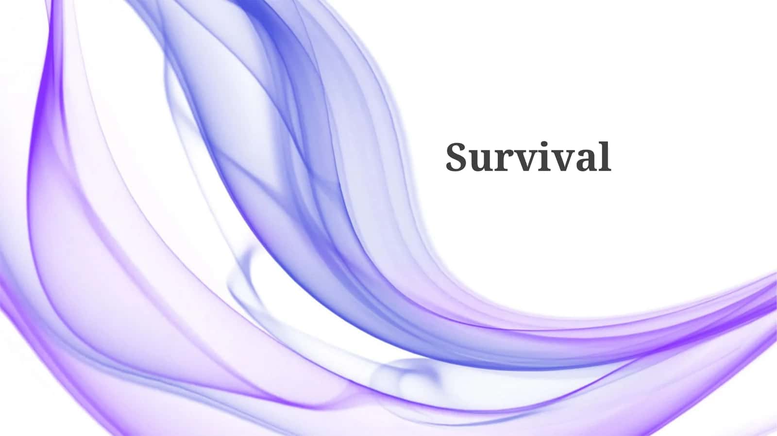 Core Pillars of Survival 1