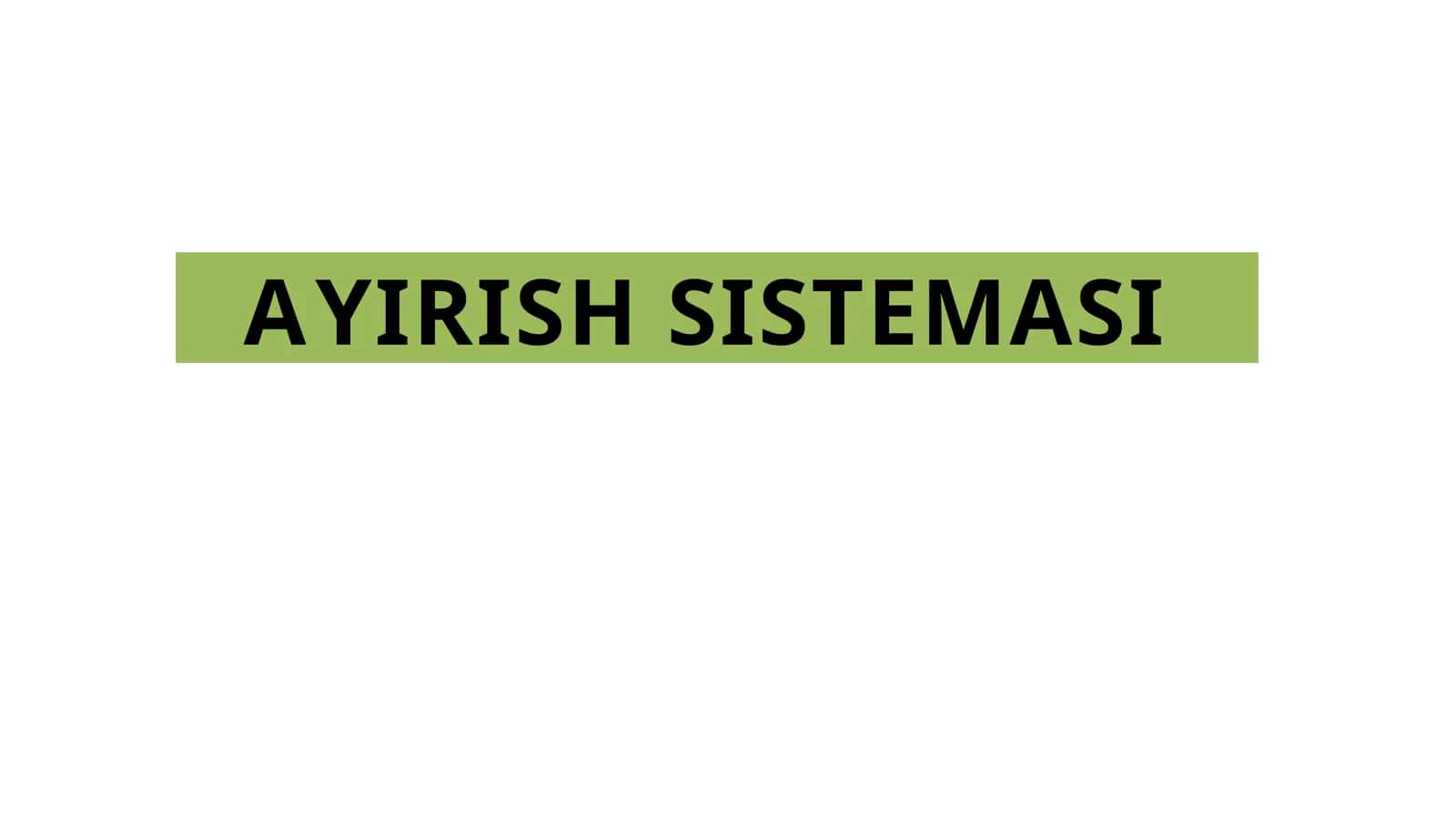 AYIRISH SISTEMASI 1