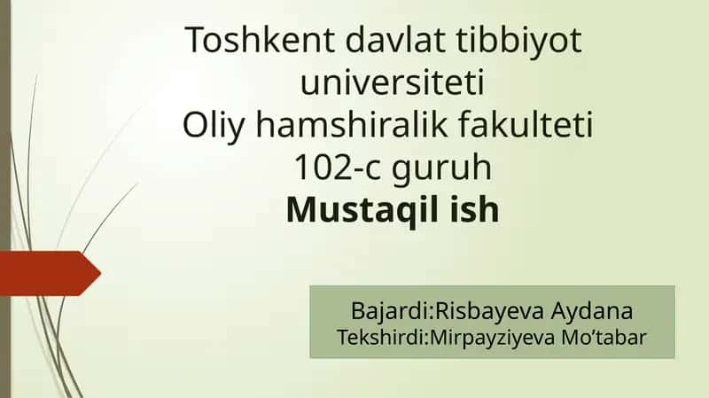 Hamshiralik parvarish modellarning xorijiy usullari 1