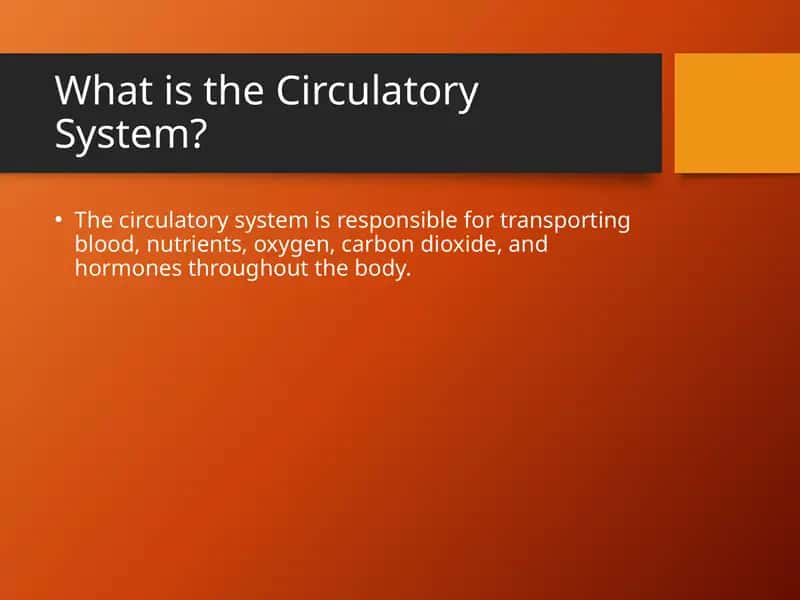 Circulatory System 1