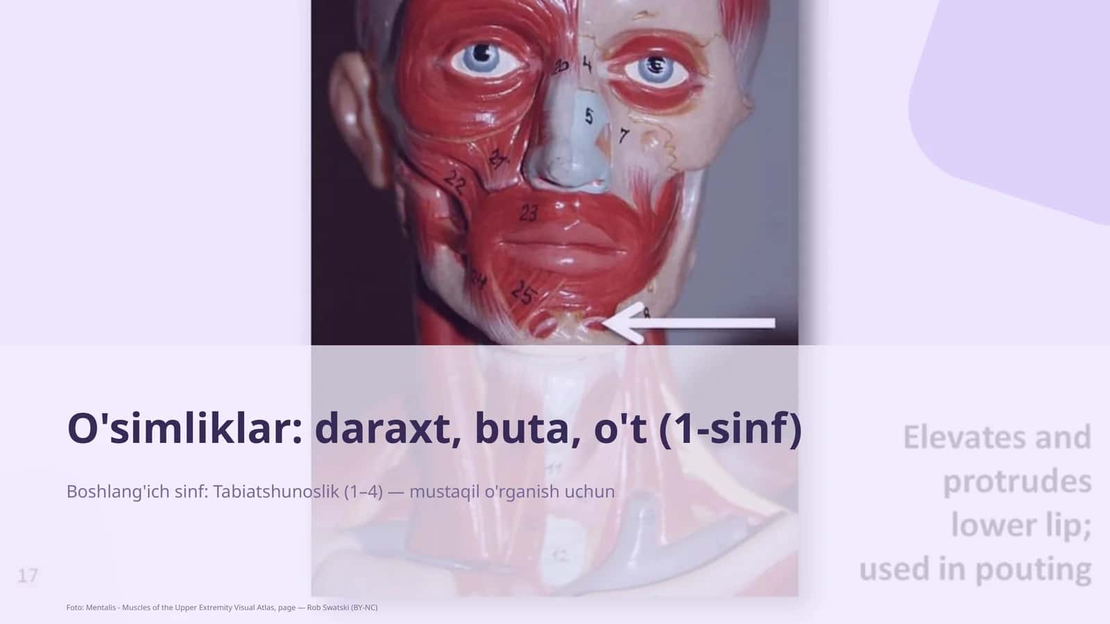 Tabiatshunoslik 1