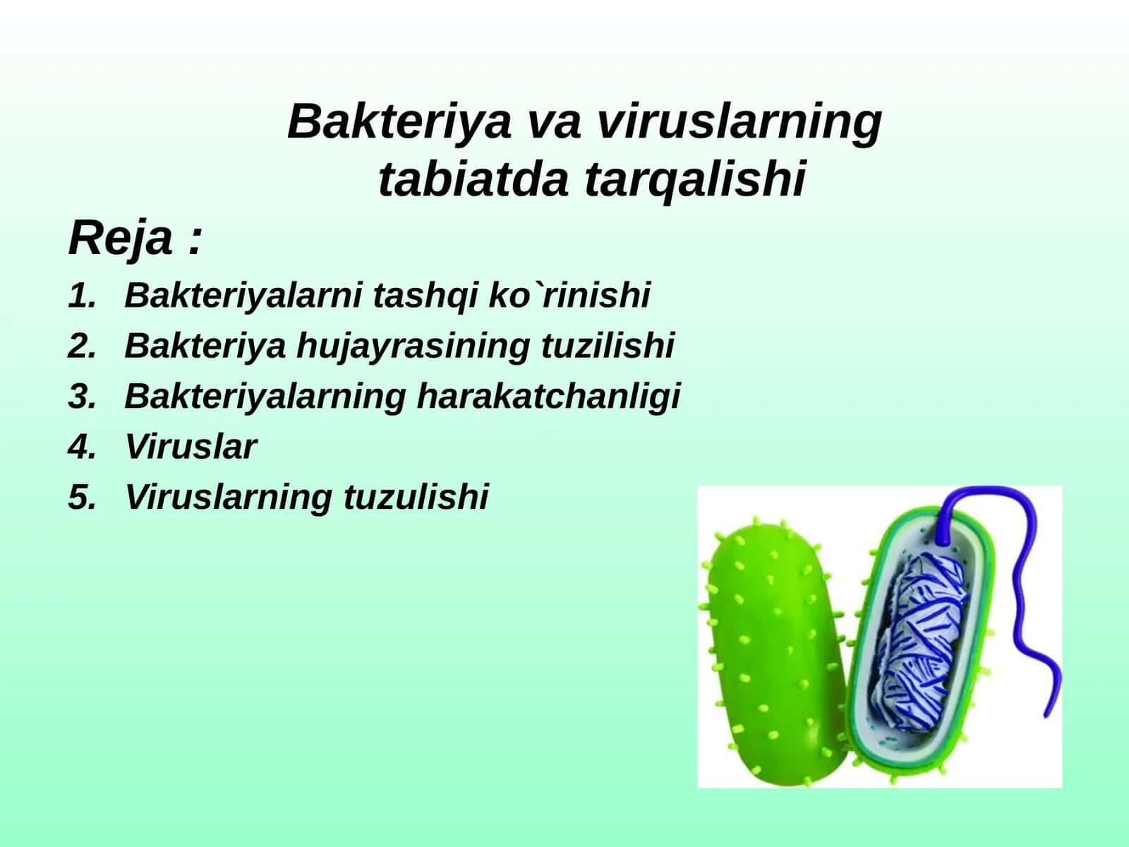 Bakteriyavaviruslarning 1