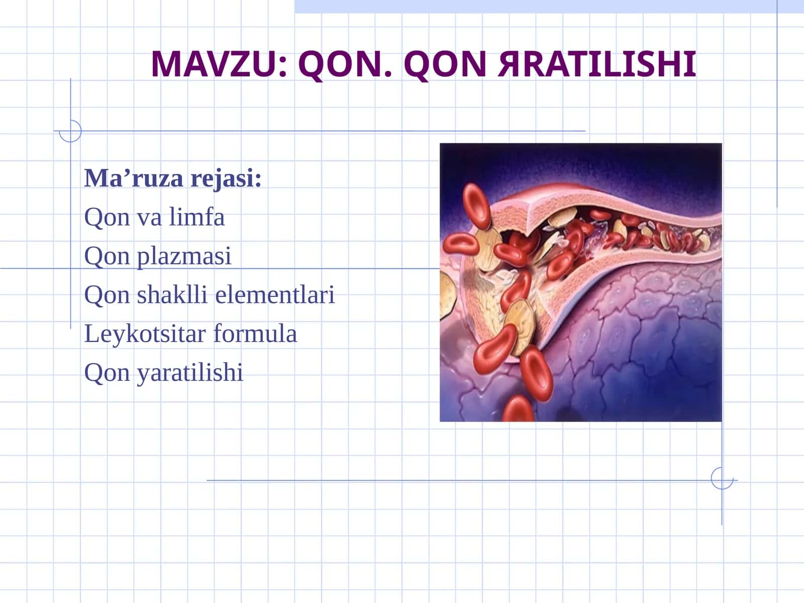 Qon va limfa, QON TARKIBI 1