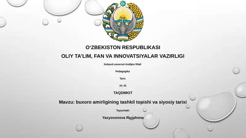 Buxoro amirligining tashkil topishi va siyosiy tarixi 1