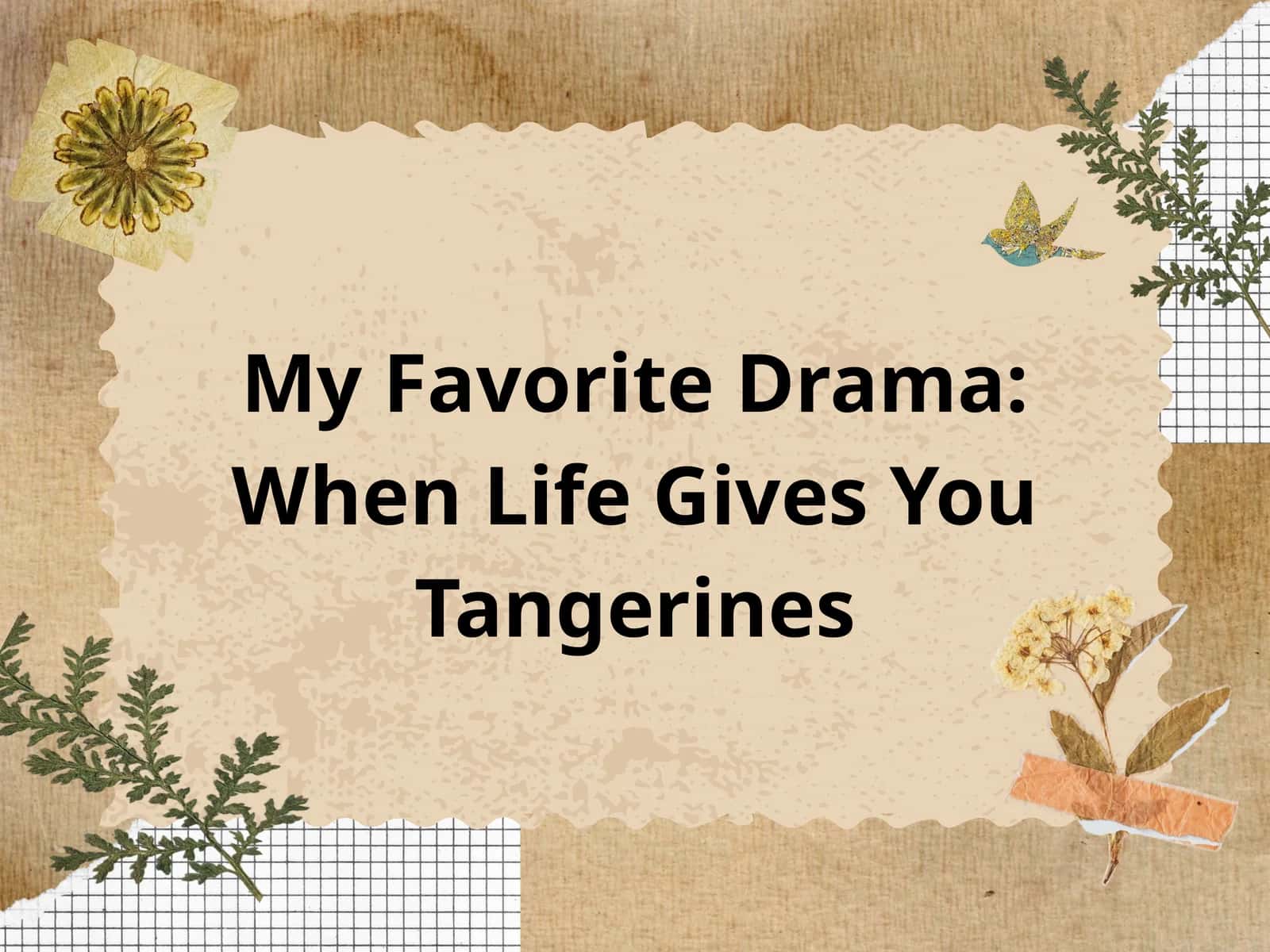 My Favorite Drama: When Life Gives You Tangerines 1