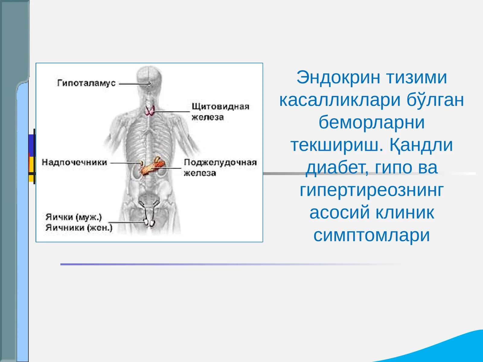 Эндокрин тизими касалликлари 1