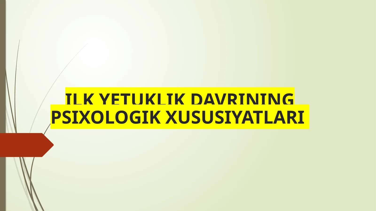 ILK YETUKLIK DAVRINING PSIXOLOGIK XUSUSIYATLARI 1
