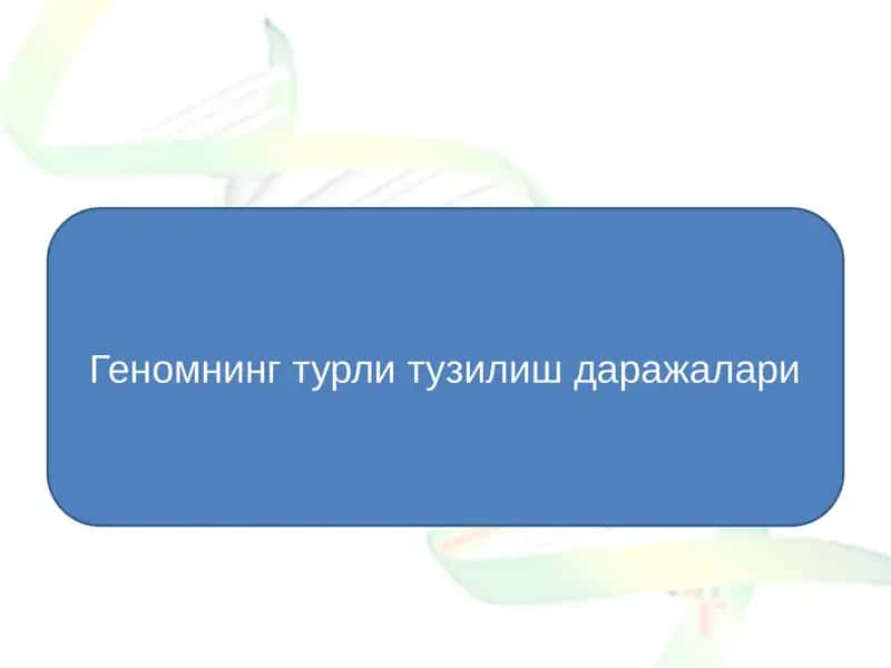 Геномнинг турли тузилиш даражалари 1