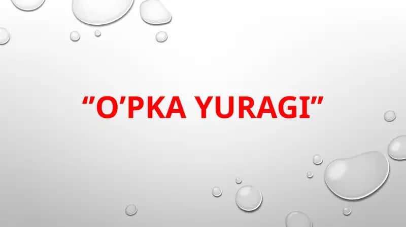 O‘pka yuragi 1