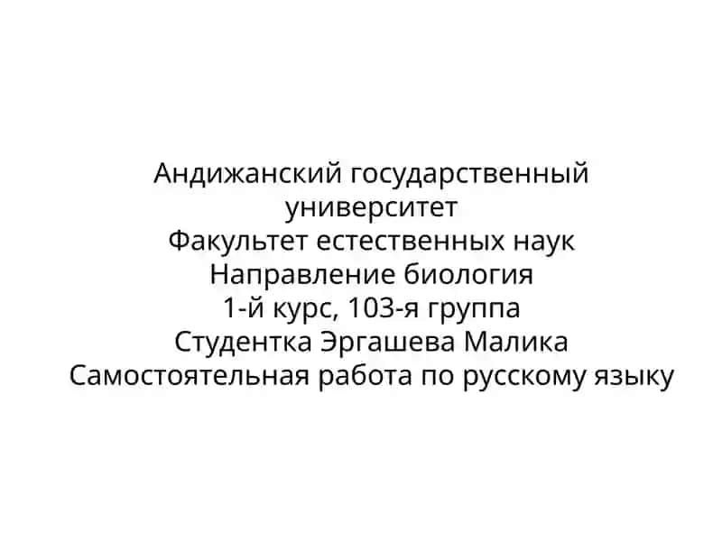 Самостоятельная работа по русскому языку