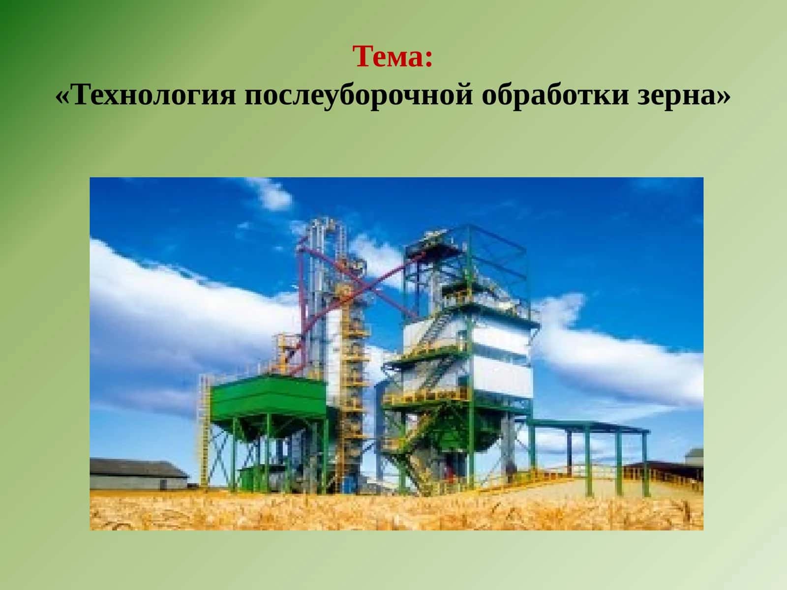 Технология послеуборочной обработки зерна 1