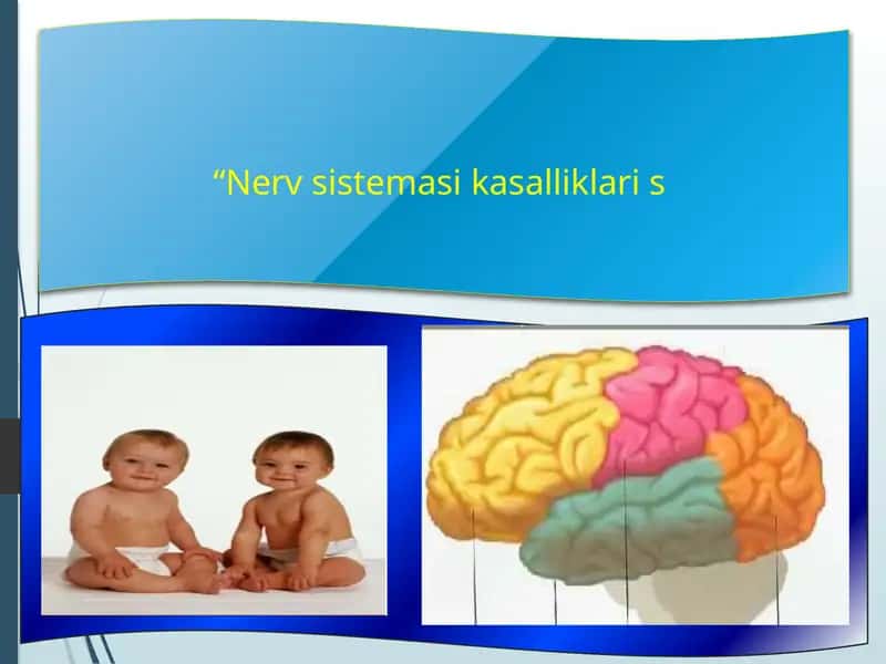 Nervsistemasikasalliklaris 1