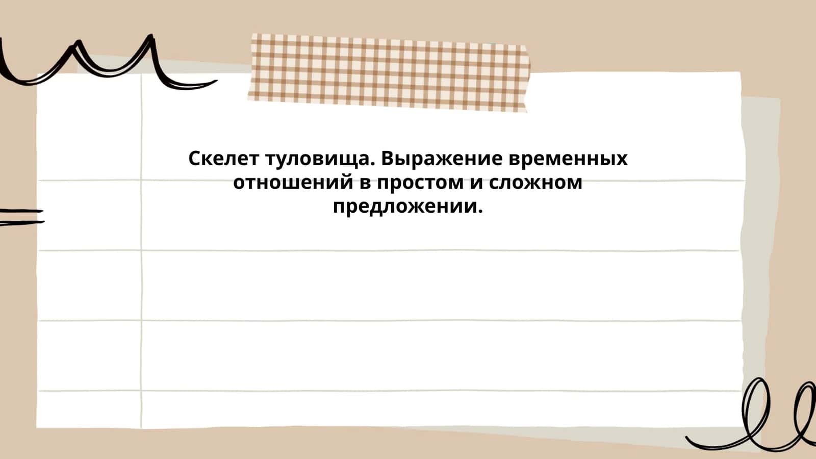 Скелет туловища 1