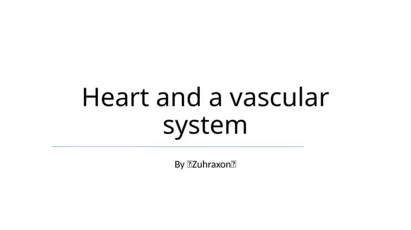 Heart and a vascular system 1