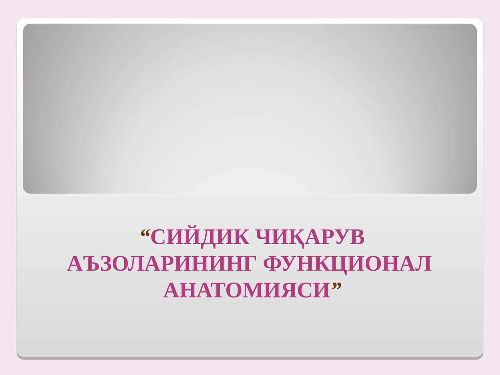 СИЙДИК ЧИҚАРУВ АЪЗОЛАРИНИНГ ФУНКЦИОНАЛ АНАТОМИЯСИ 1