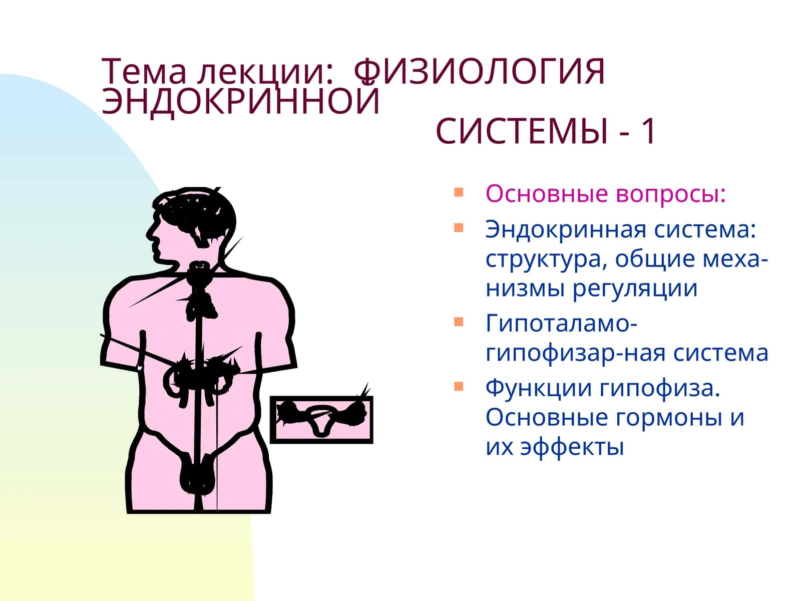 ФИЗИОЛОГИЯ ЭНДОКРИННОЙ СИСТЕМЫ - 1 1