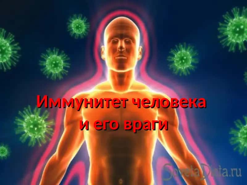 Иммунитет человека и его враги 1