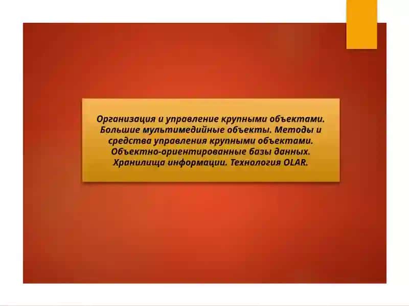 Организация и управление крупными объектами