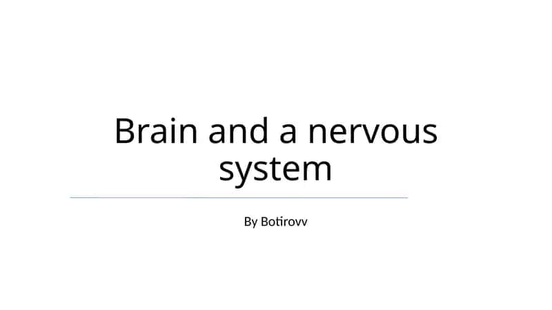 Brain and a nervous system 1