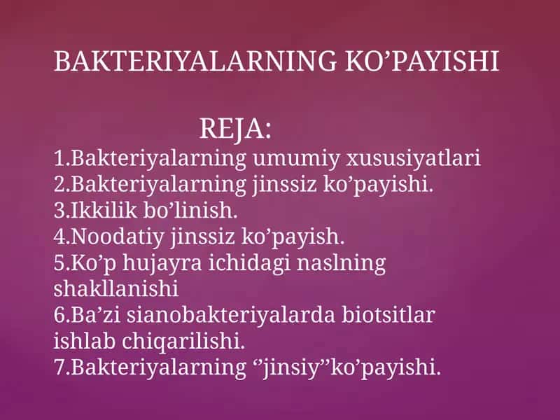 Bakteriyalarning Ko'payishi 1