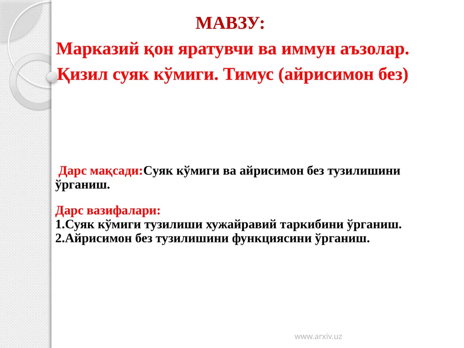 Кизил суяккўмиги. Тимус (айрисимонбез) 1