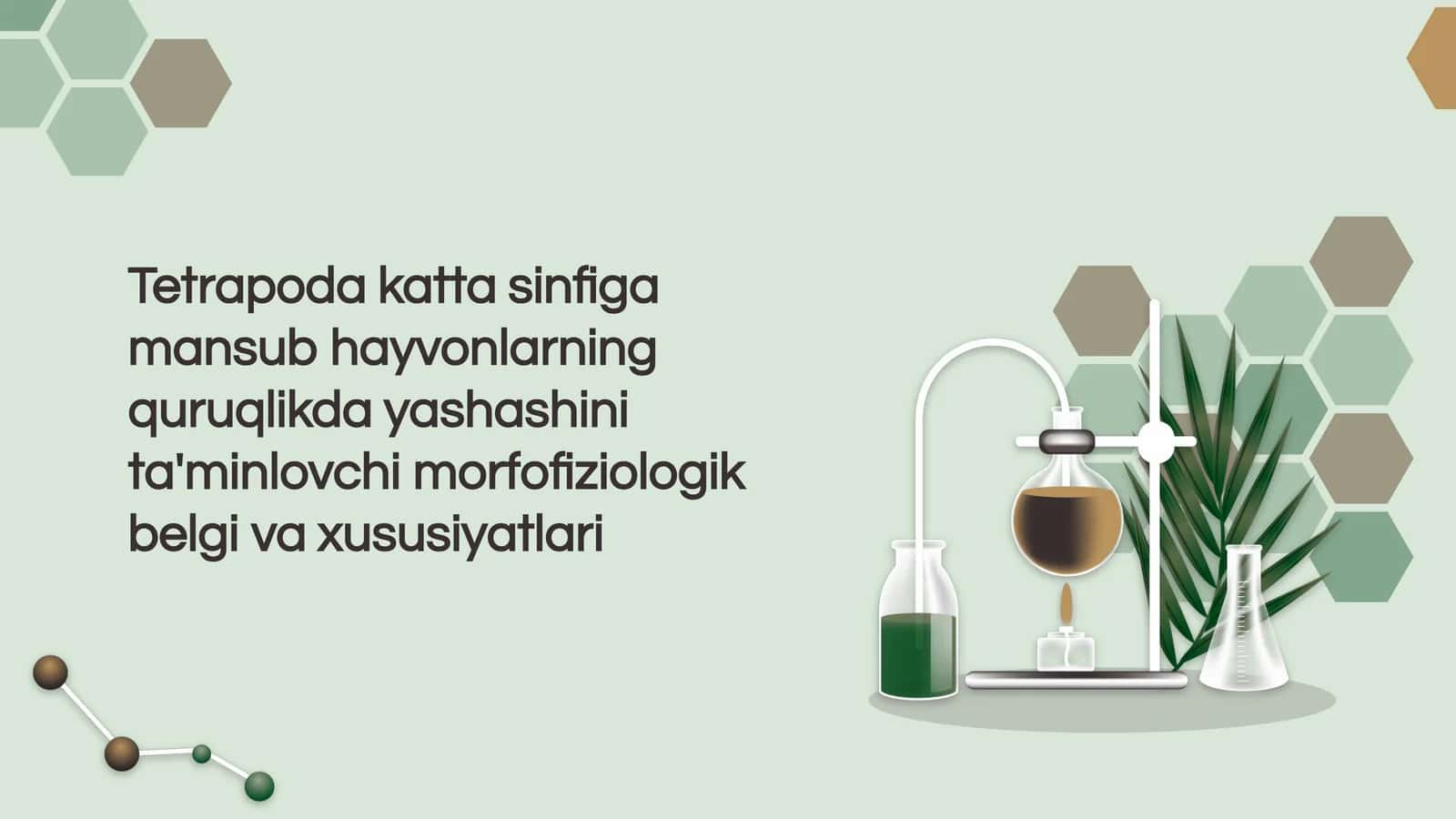 Tetrapodalar va morfofiziologik xususiyatlari 1