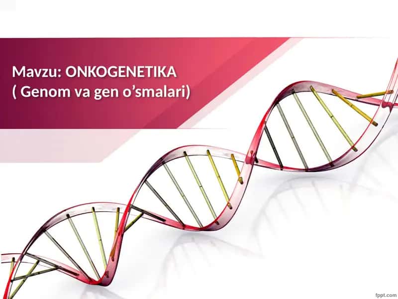 ONKOGENETIKA( Genom va gen o’smalari) 1