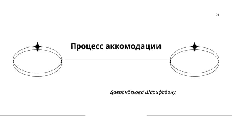 Процесс аккомодации 1