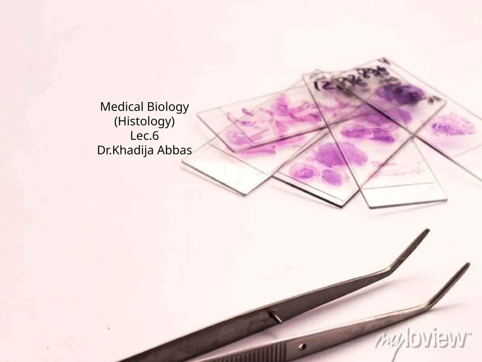 Medical Biology (Histology) Lec.6 1