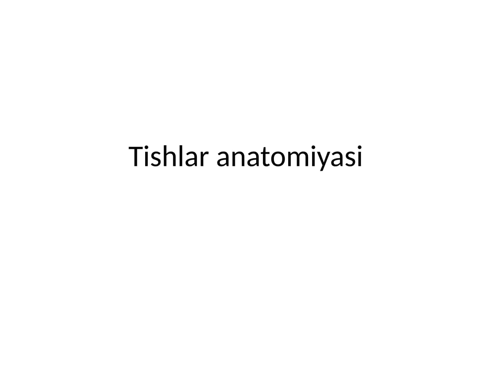 Tishlaranatomiyasi 1
