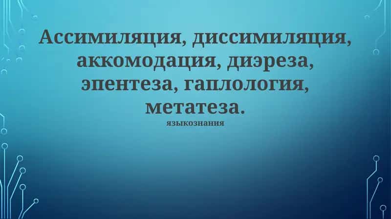 Гаплология 1