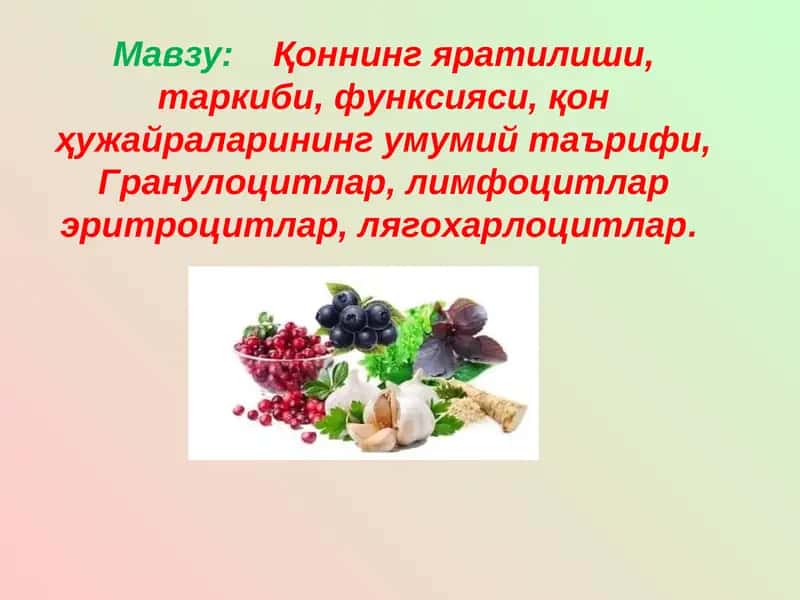 Қon tizimi 1