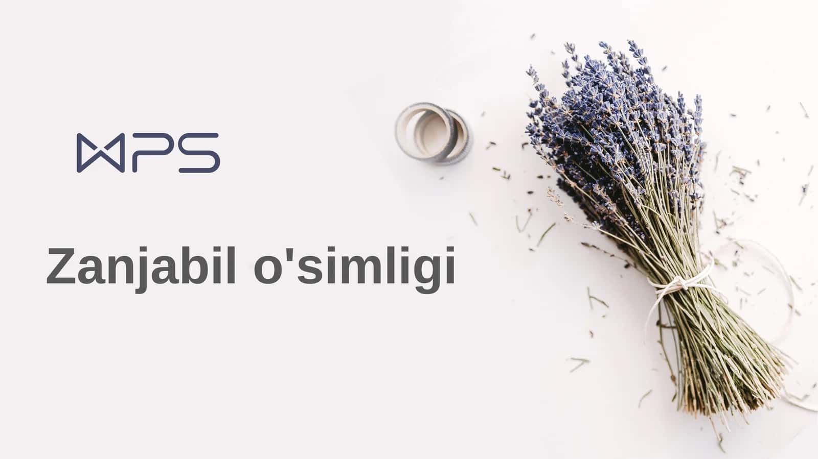 Zanjabil o'simligi 1