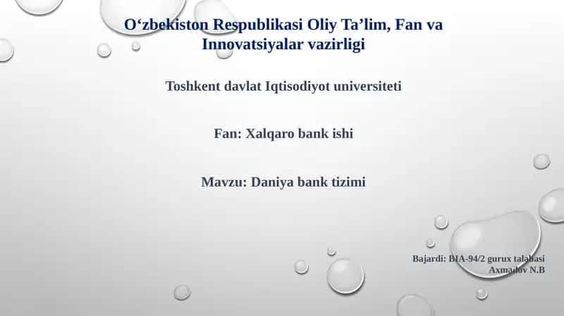 Daniya Bank Tizimi 1