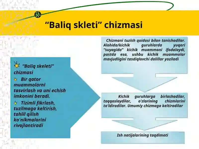 Baliq skeleti chizmasi