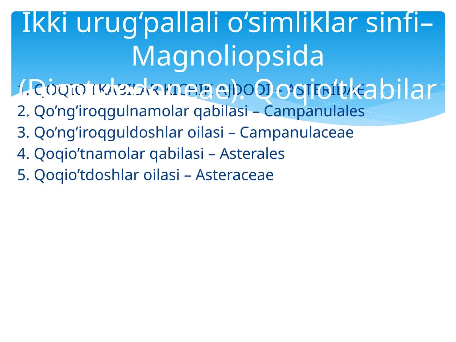 Qoqio’tkabilar kichik ajdodi – Asteridae 1
