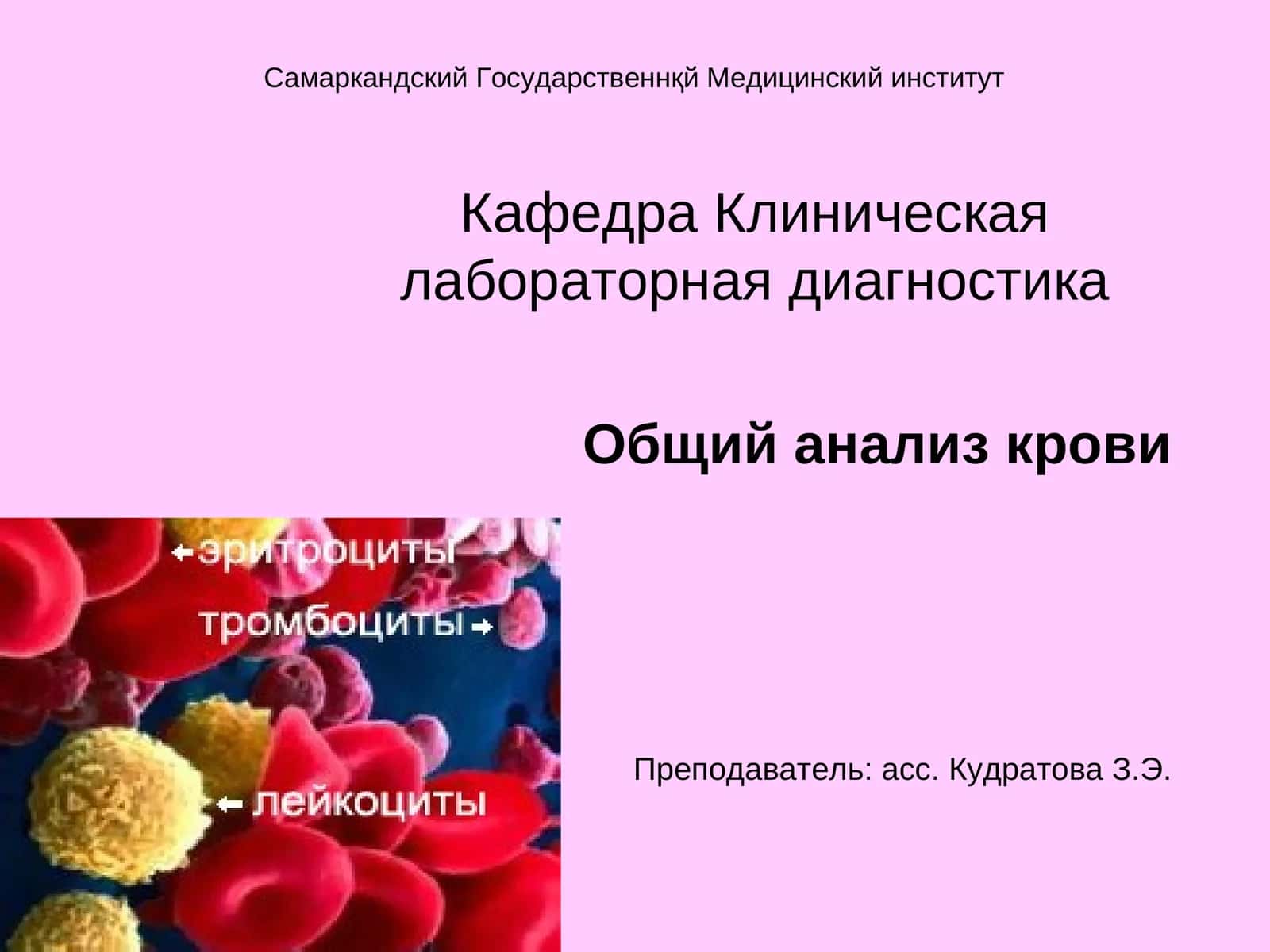 Общий анализ крови 1