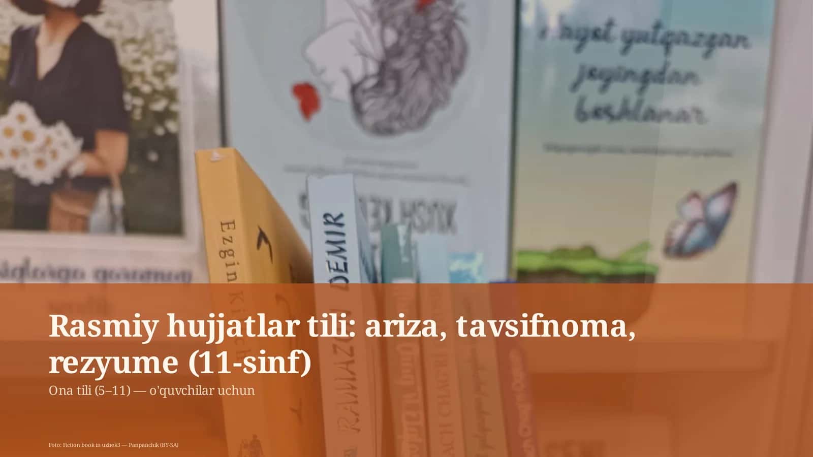 Rasmiy hujjatlar tili: ariza, tavsifnoma, rezyume (11-sinf) 1