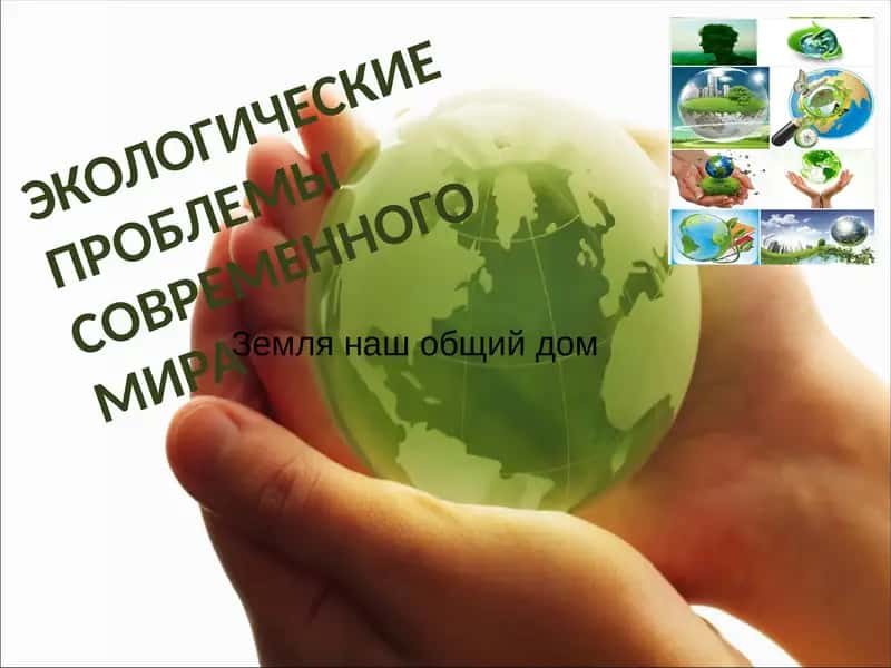 ЭКОЛОГИЧЕСКИЕ ПРОБЛЕМЫ СОВРЕМЕННОГО МИРА 1