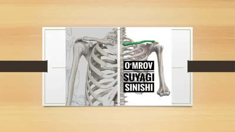 O'mrov chiqishlari va sinishlari 1